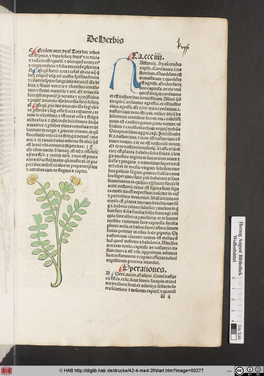 http://diglib.hab.de/drucke/42-4-med-2f/00277.jpg