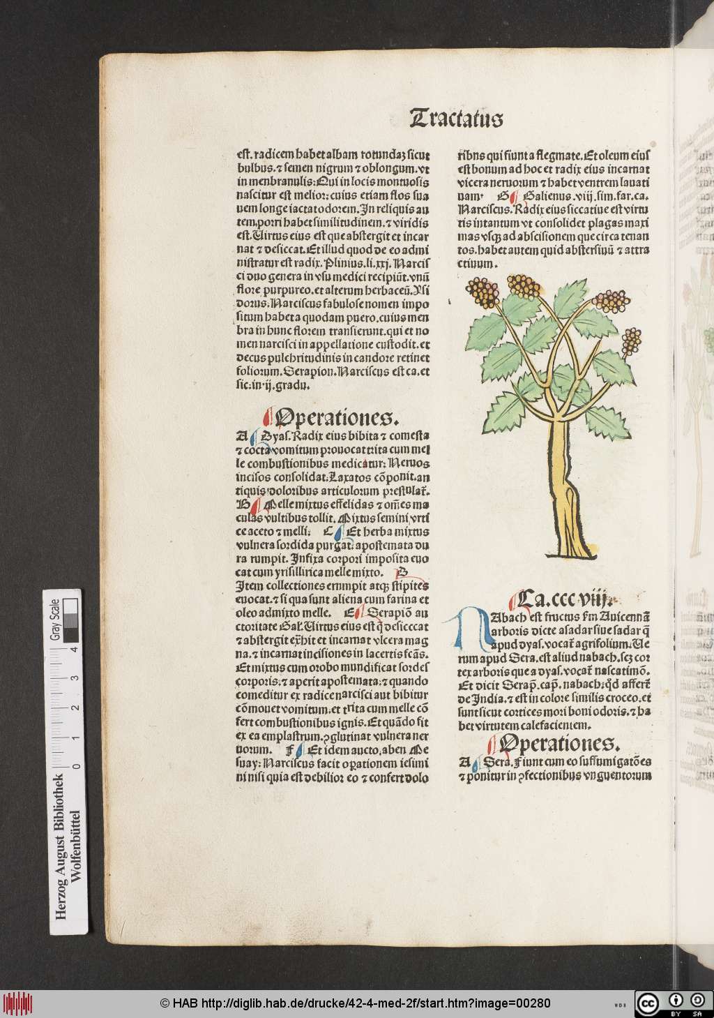 http://diglib.hab.de/drucke/42-4-med-2f/00280.jpg