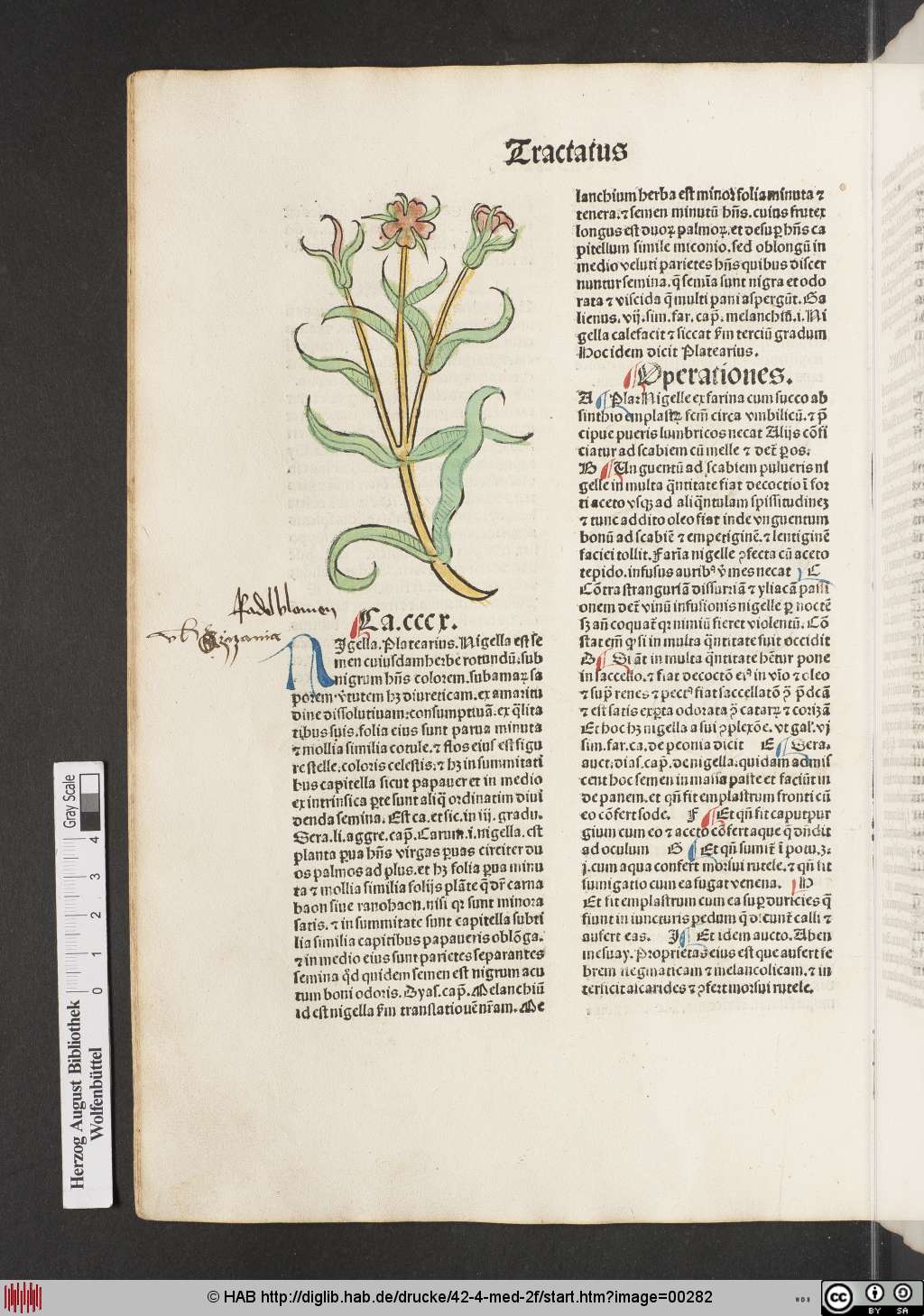 http://diglib.hab.de/drucke/42-4-med-2f/00282.jpg