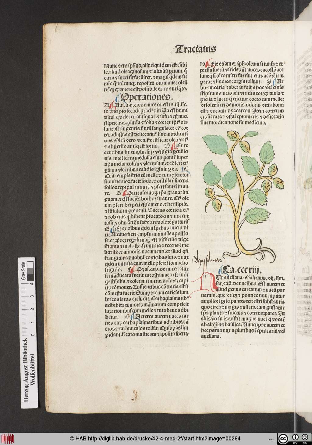 http://diglib.hab.de/drucke/42-4-med-2f/00284.jpg