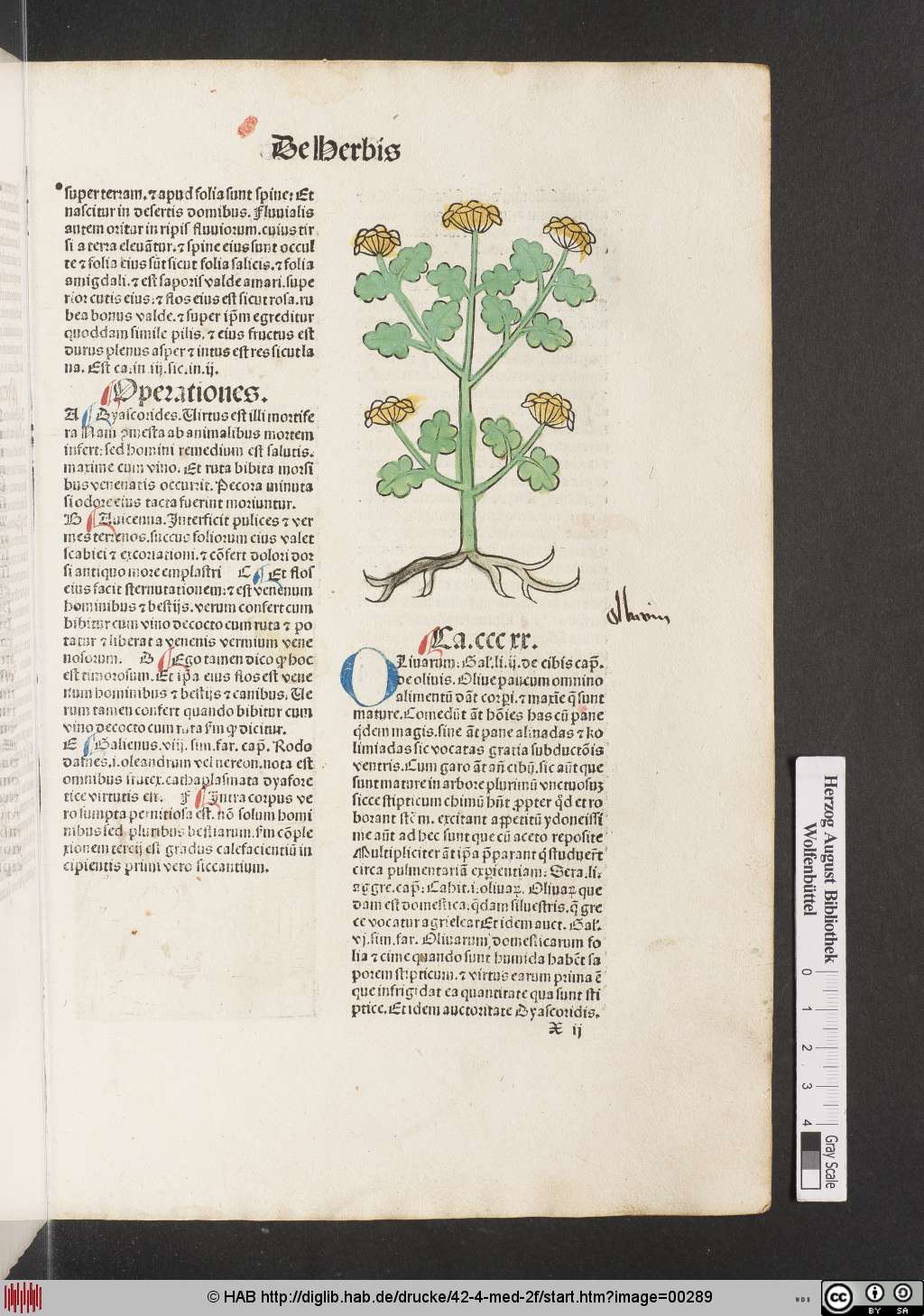 http://diglib.hab.de/drucke/42-4-med-2f/00289.jpg