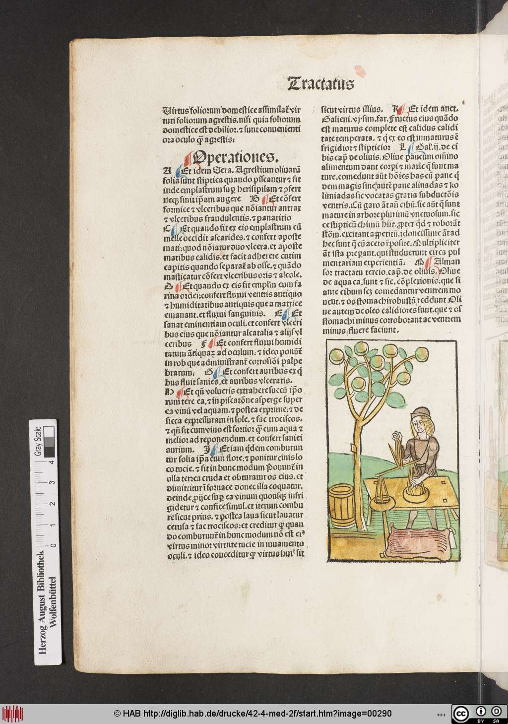 http://diglib.hab.de/drucke/42-4-med-2f/00290.jpg