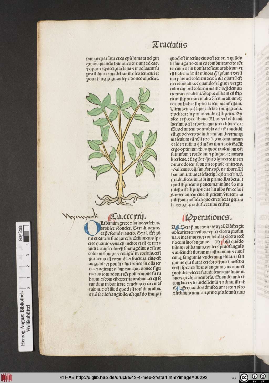 http://diglib.hab.de/drucke/42-4-med-2f/00292.jpg