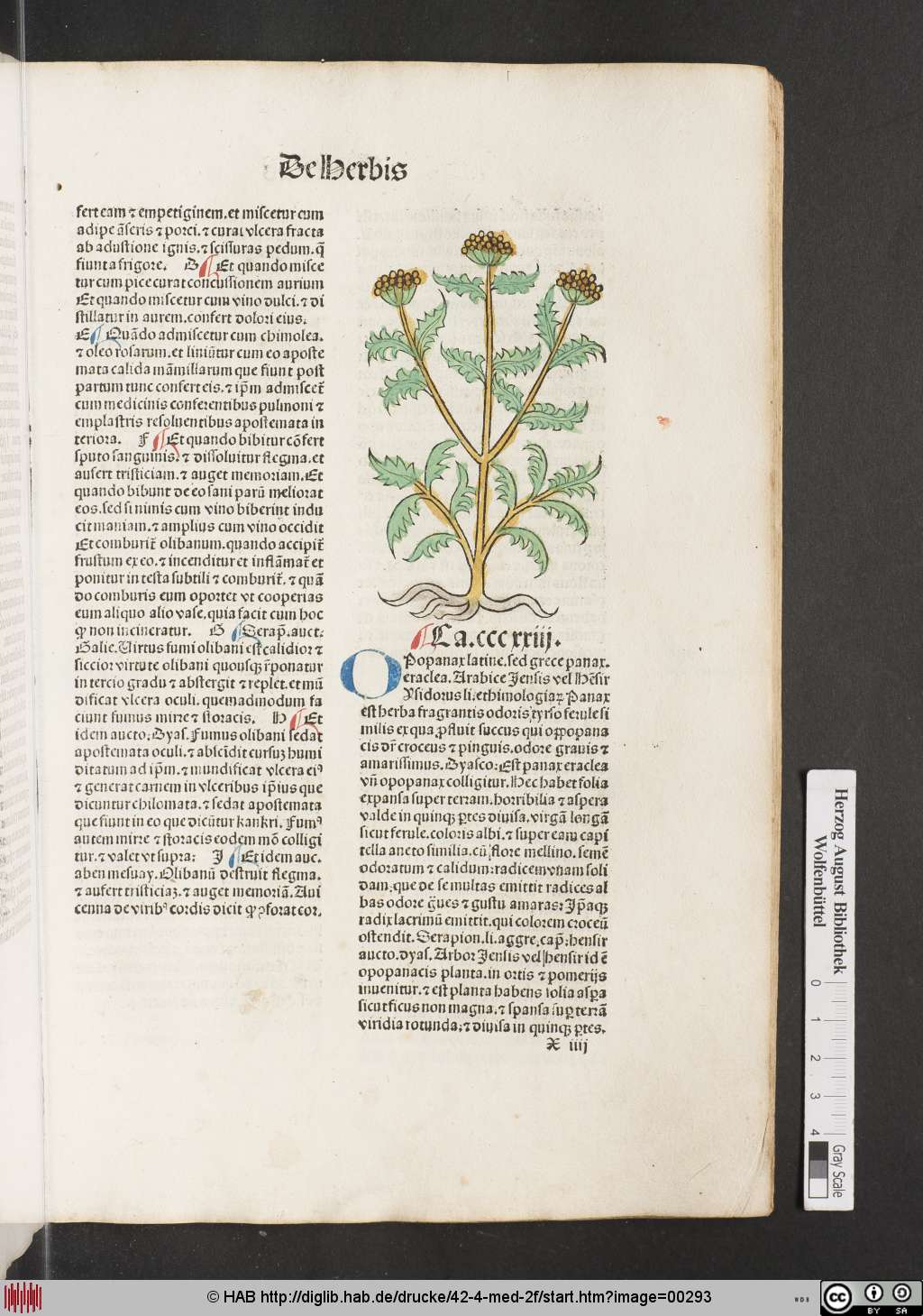 http://diglib.hab.de/drucke/42-4-med-2f/00293.jpg