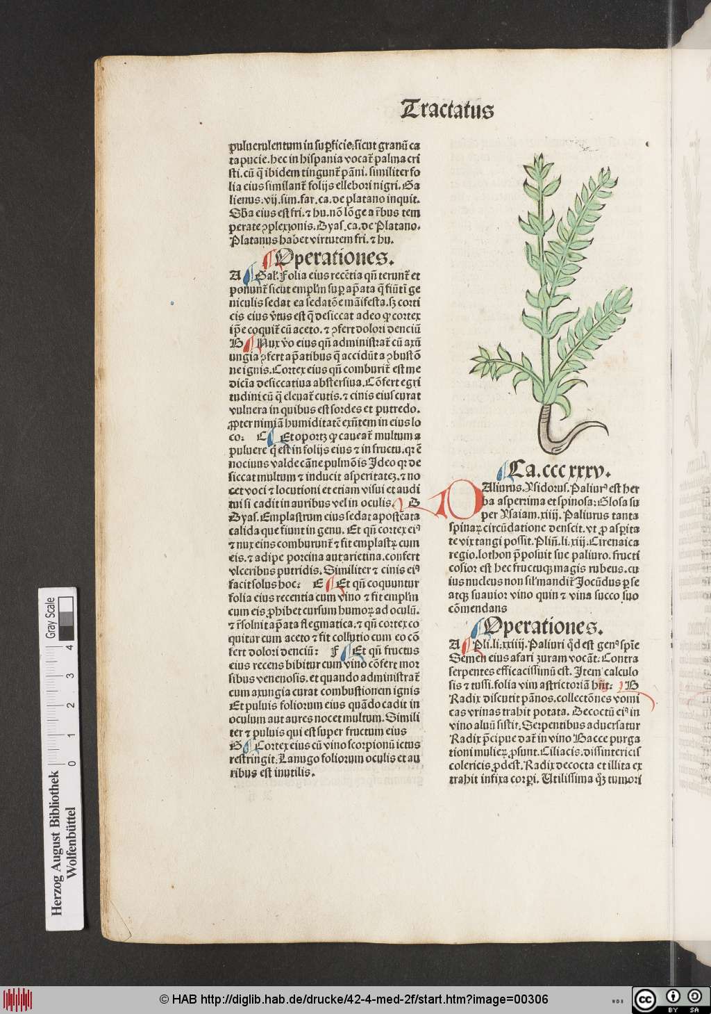 http://diglib.hab.de/drucke/42-4-med-2f/00306.jpg