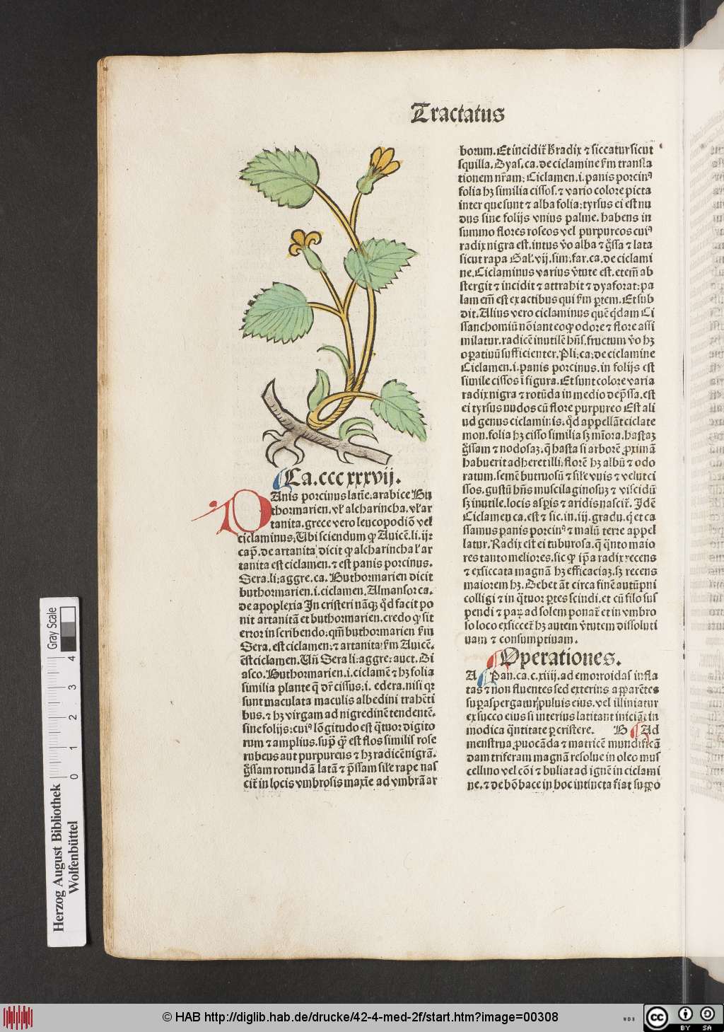 http://diglib.hab.de/drucke/42-4-med-2f/00308.jpg