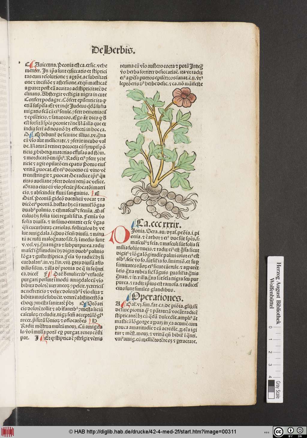 http://diglib.hab.de/drucke/42-4-med-2f/00311.jpg