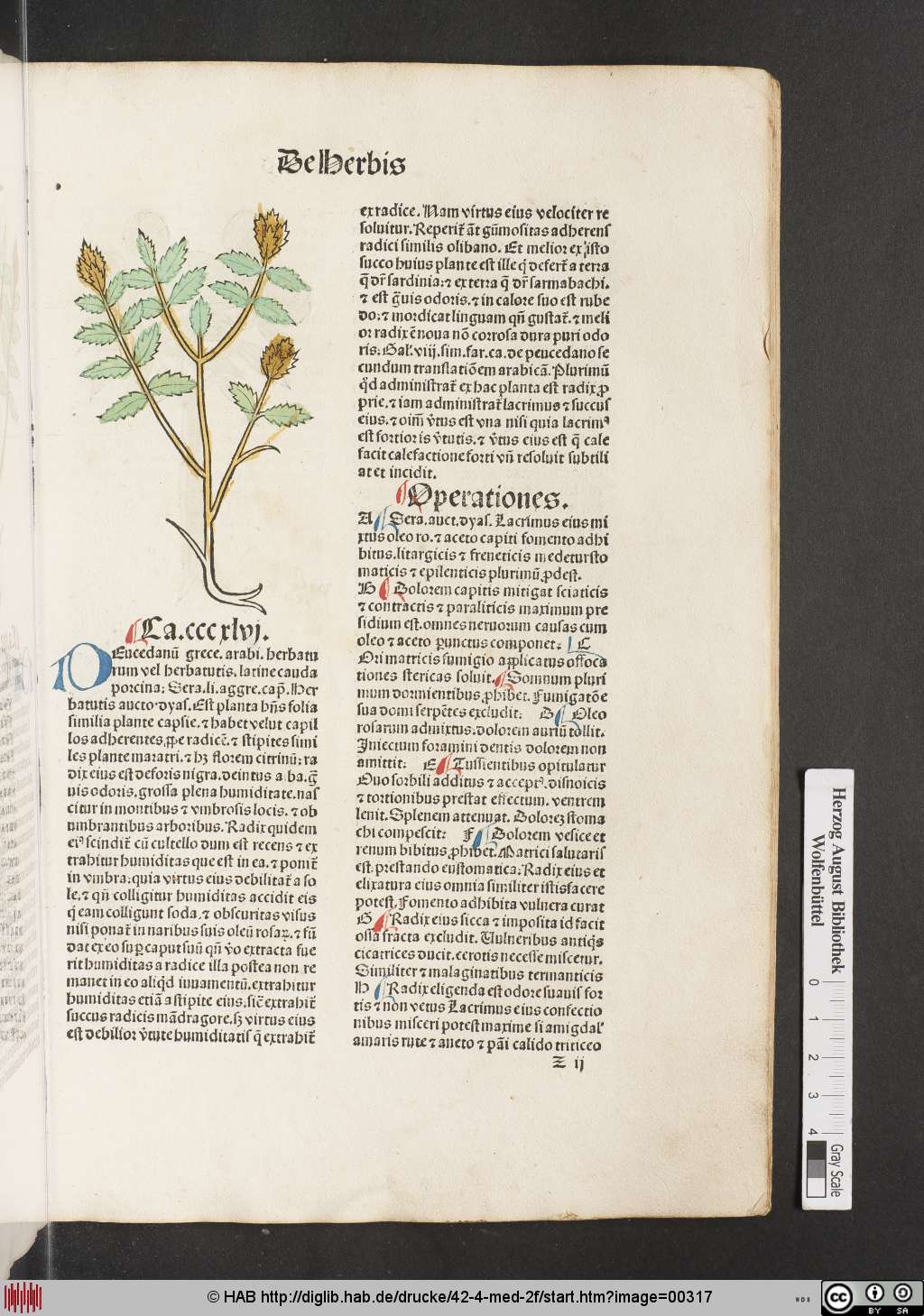 http://diglib.hab.de/drucke/42-4-med-2f/00317.jpg