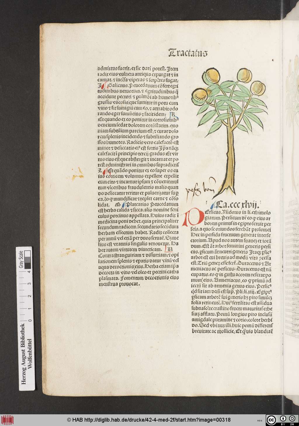 http://diglib.hab.de/drucke/42-4-med-2f/00318.jpg