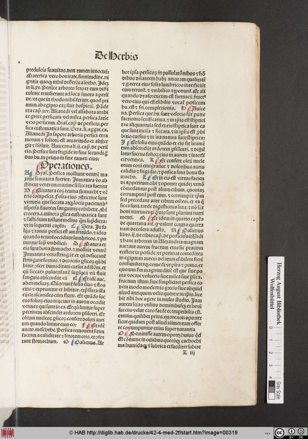 http://diglib.hab.de/drucke/42-4-med-2f/00319.jpg