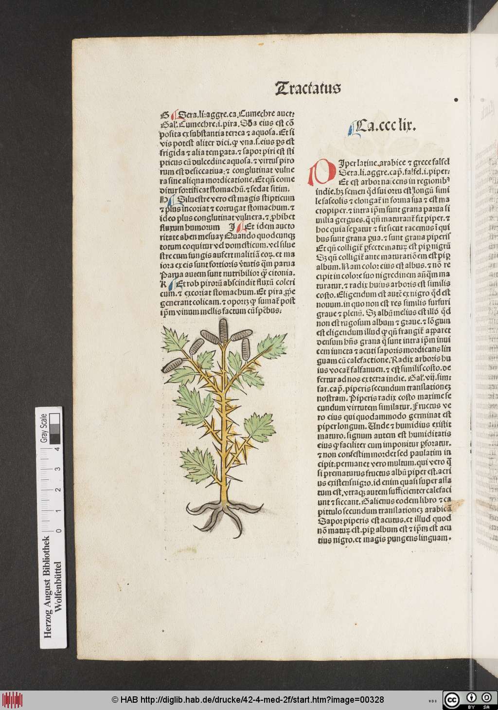 http://diglib.hab.de/drucke/42-4-med-2f/00328.jpg