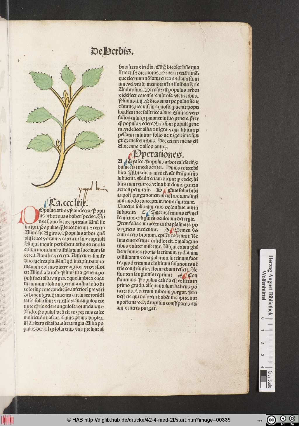 http://diglib.hab.de/drucke/42-4-med-2f/00339.jpg