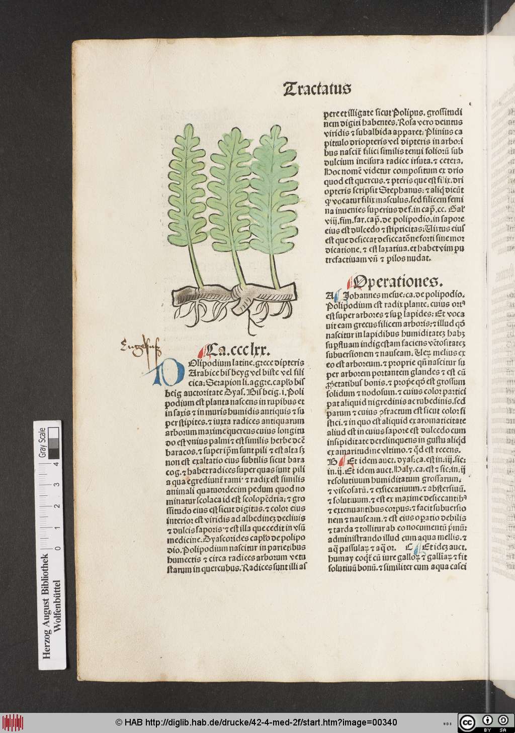 http://diglib.hab.de/drucke/42-4-med-2f/00340.jpg