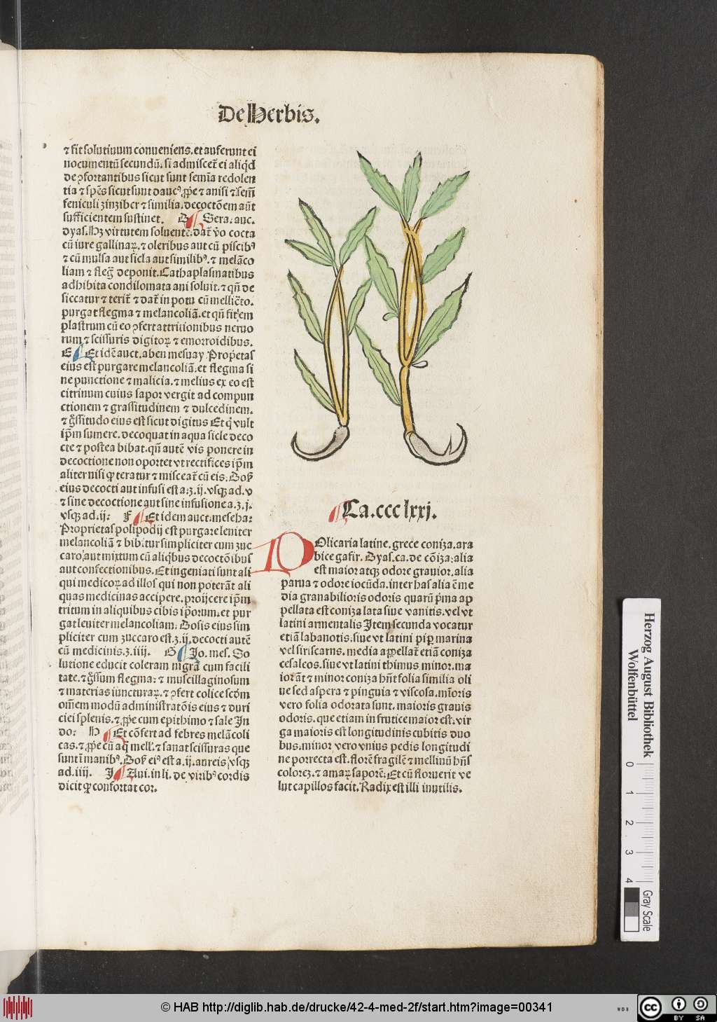 http://diglib.hab.de/drucke/42-4-med-2f/00341.jpg