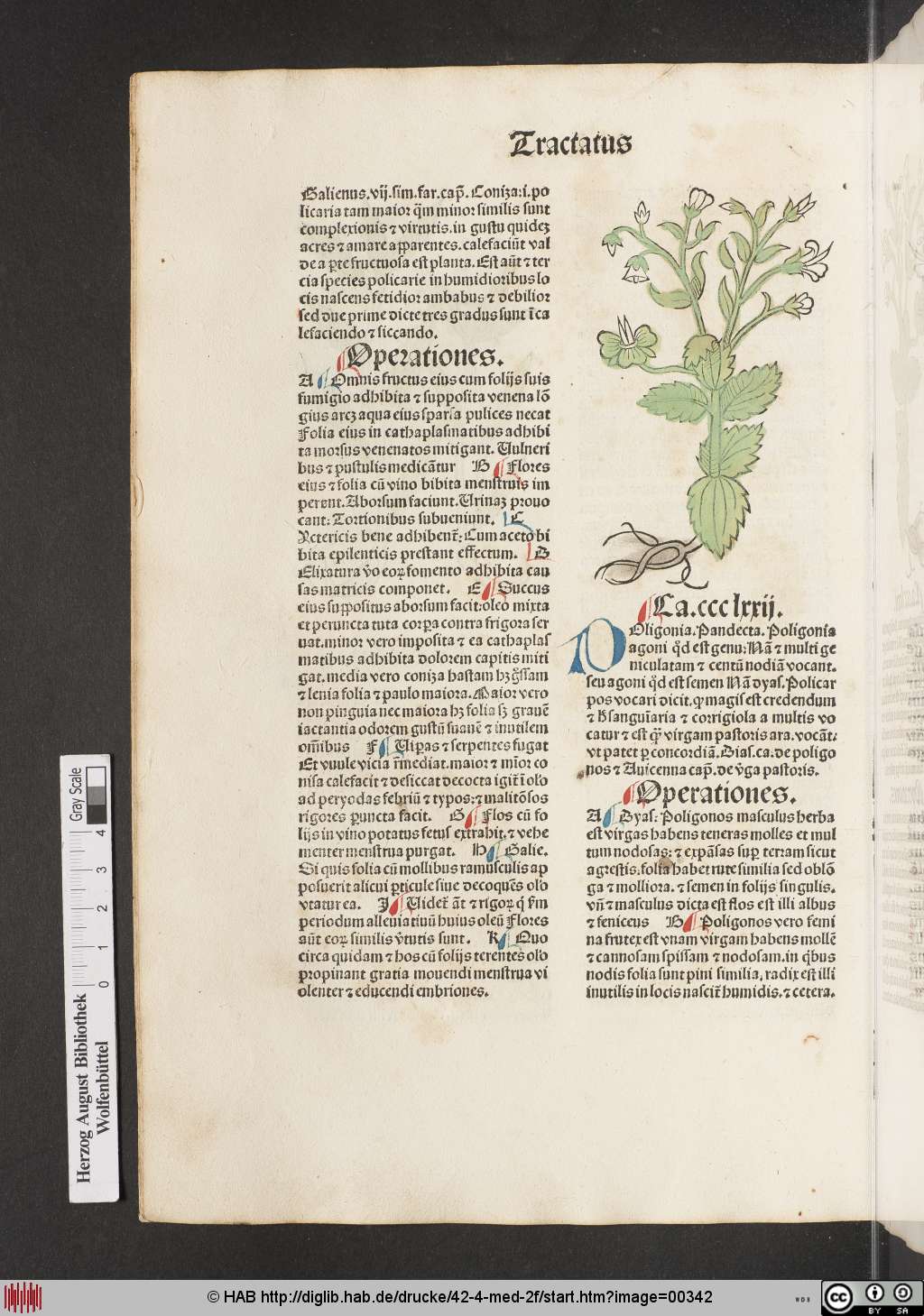 http://diglib.hab.de/drucke/42-4-med-2f/00342.jpg