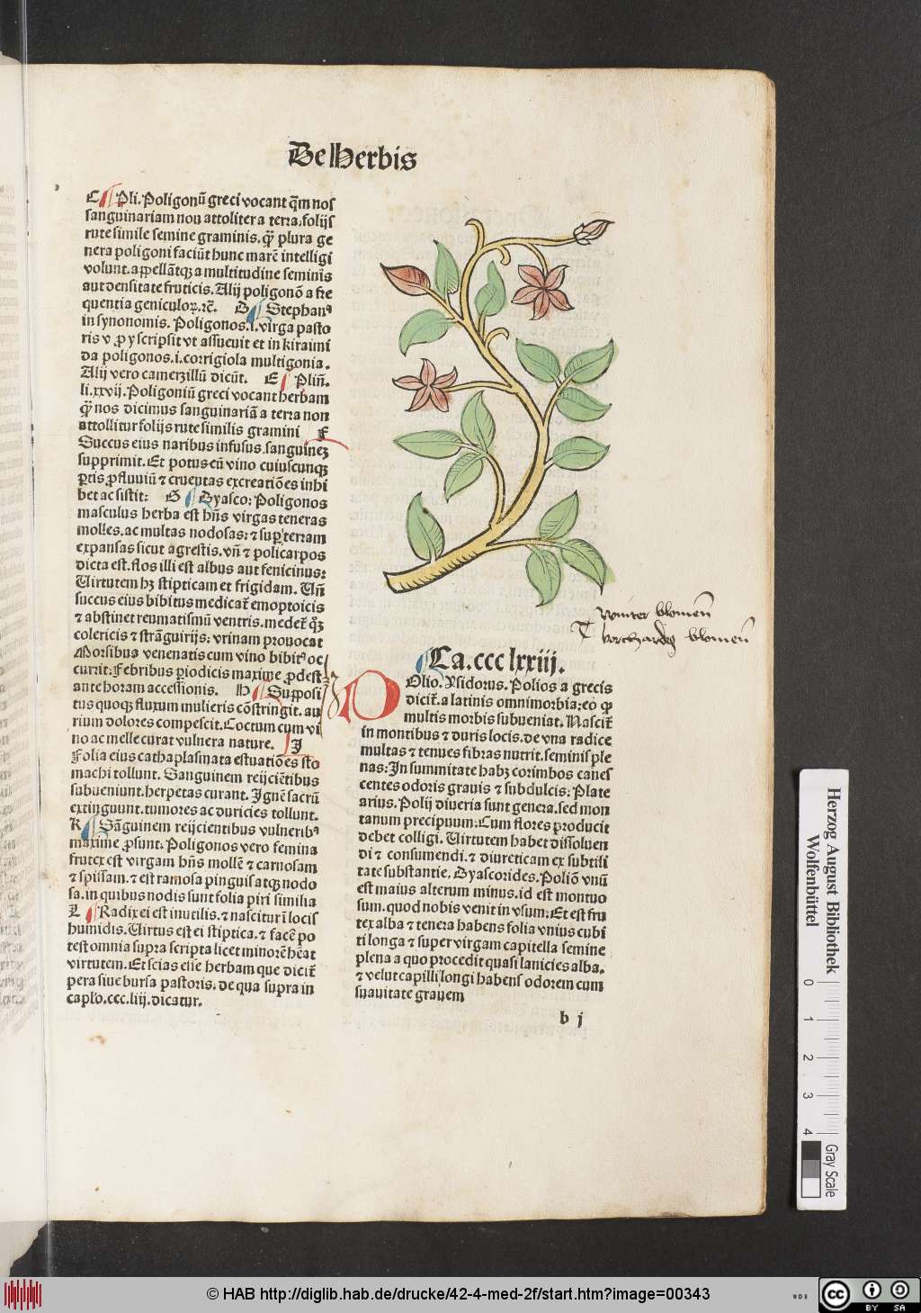 http://diglib.hab.de/drucke/42-4-med-2f/00343.jpg