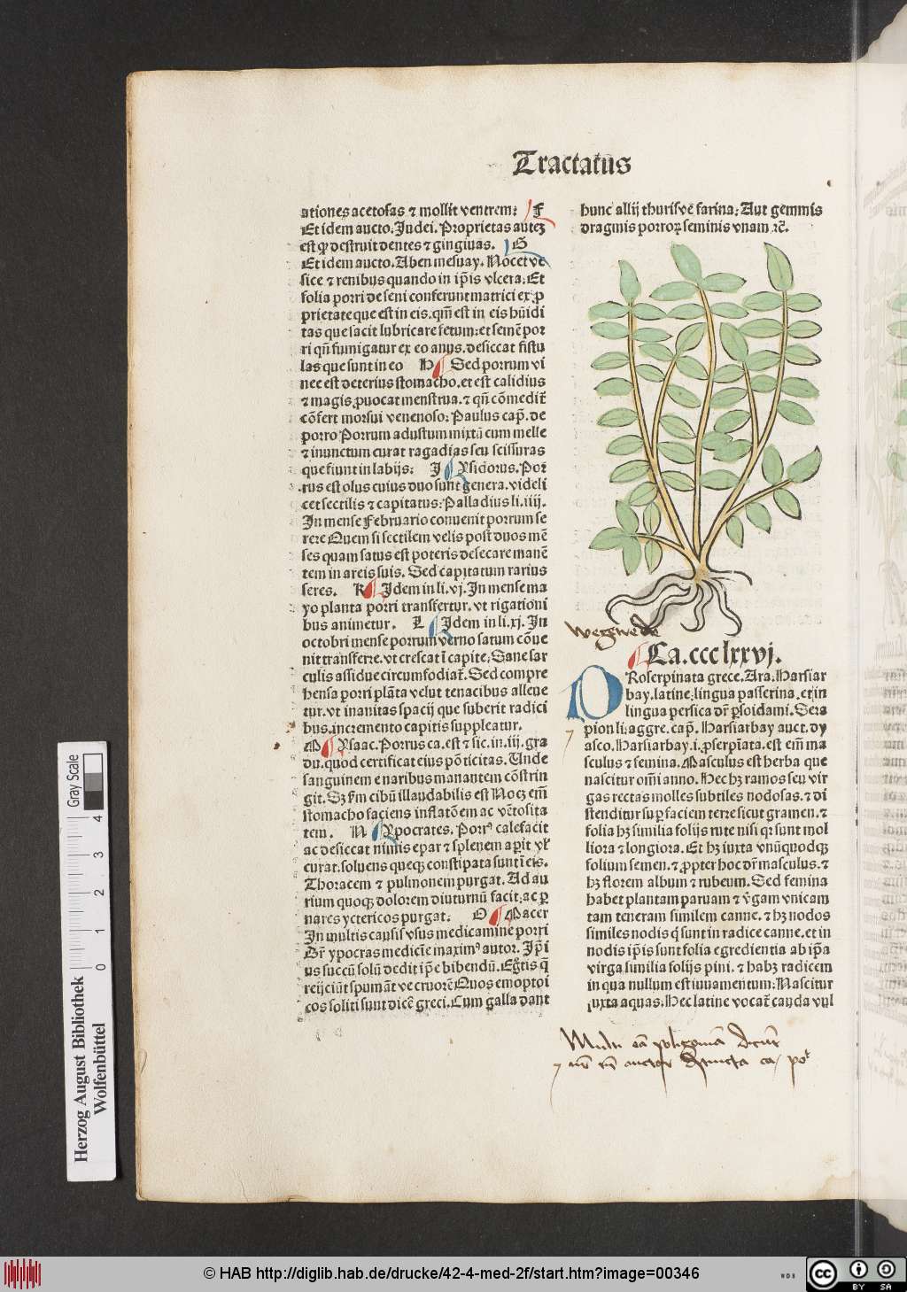 http://diglib.hab.de/drucke/42-4-med-2f/00346.jpg