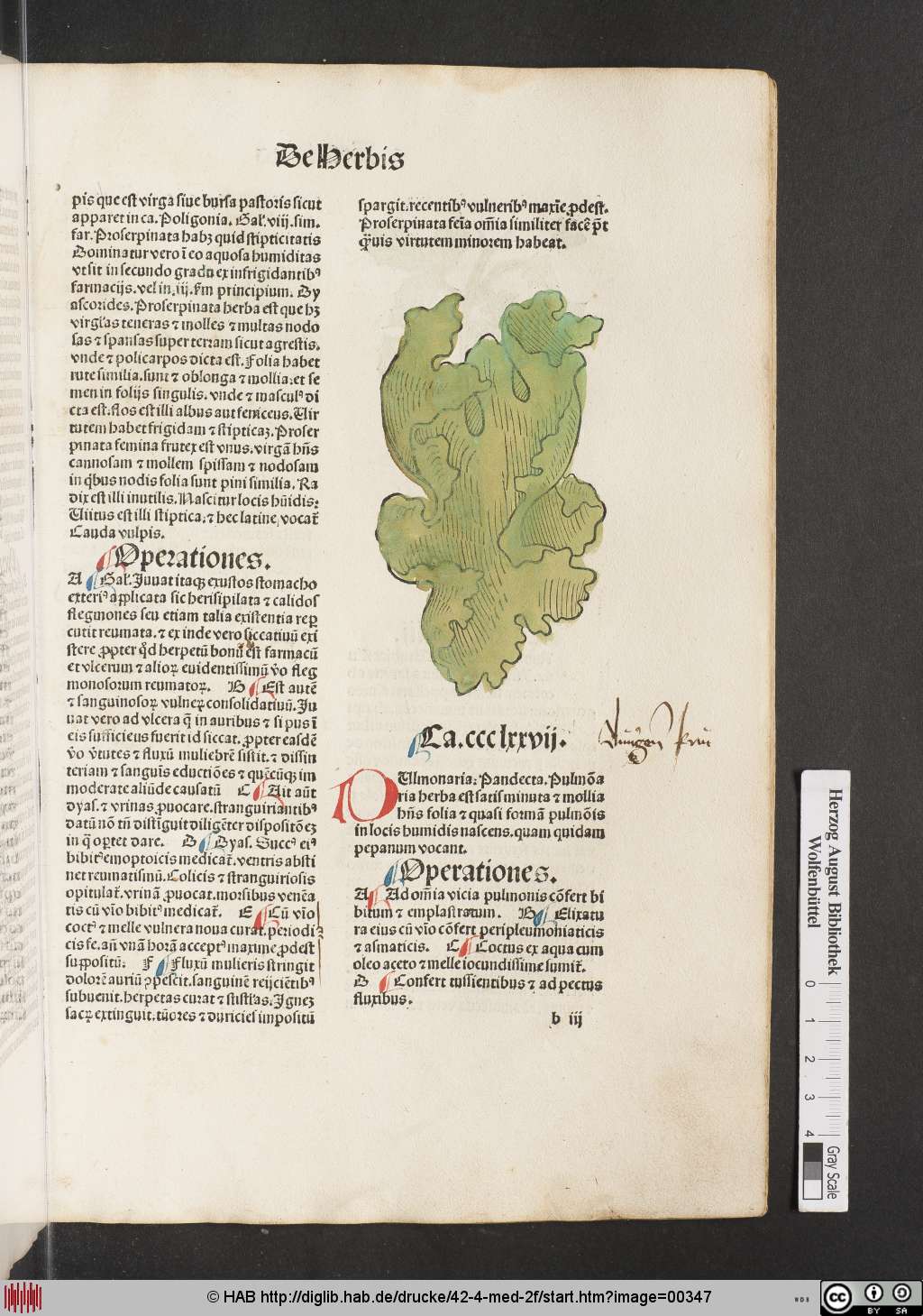 http://diglib.hab.de/drucke/42-4-med-2f/00347.jpg