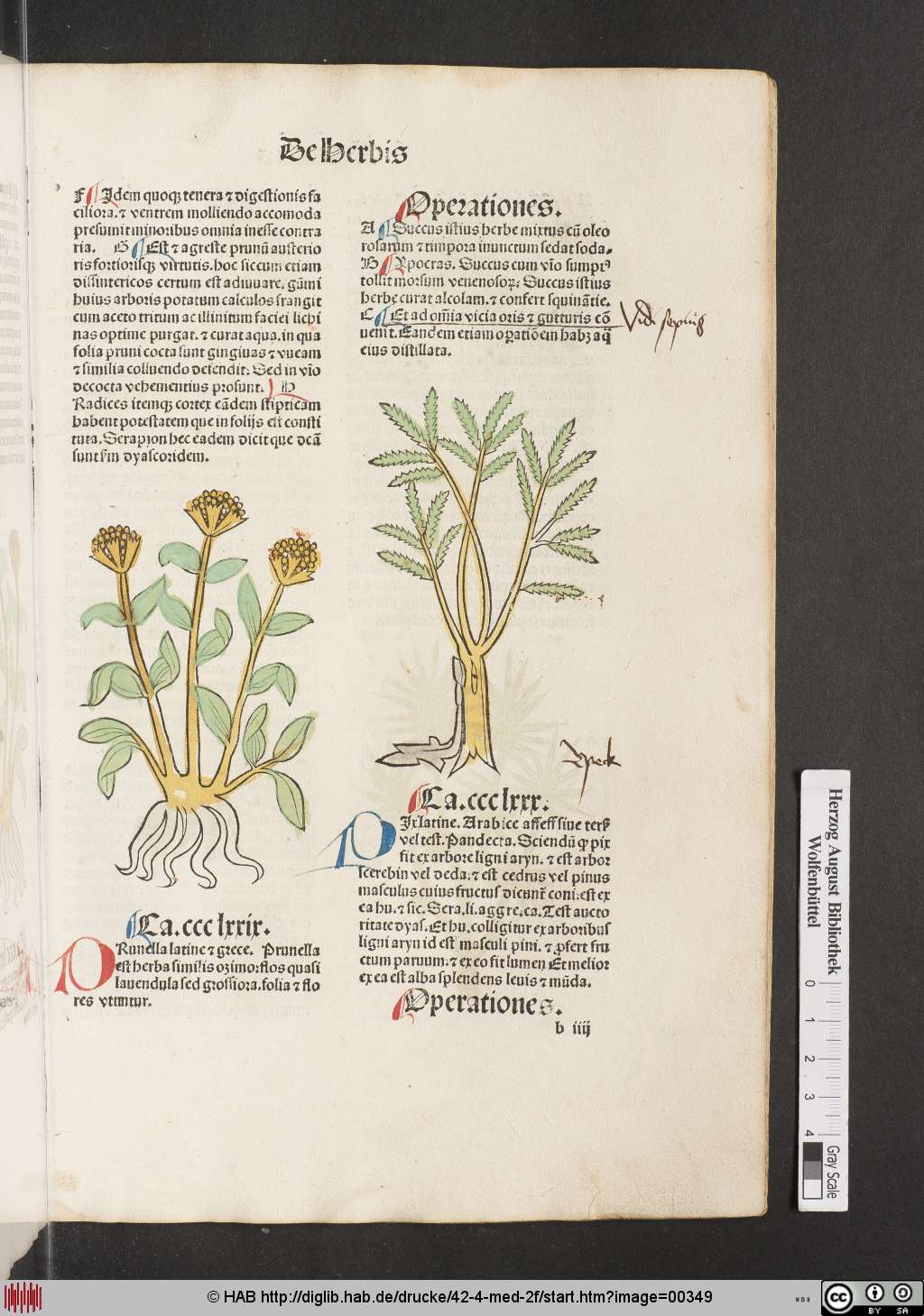 http://diglib.hab.de/drucke/42-4-med-2f/00349.jpg