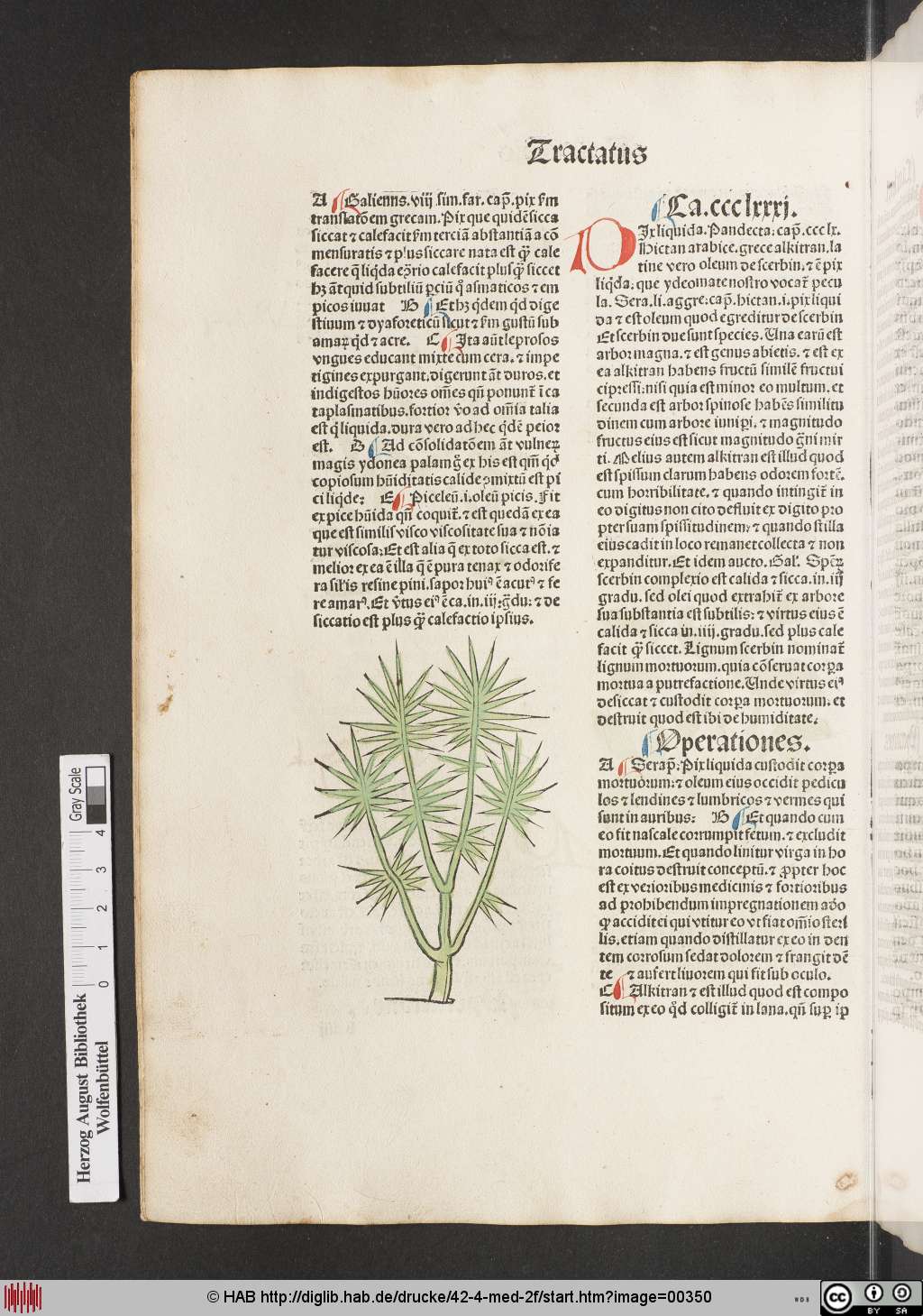 http://diglib.hab.de/drucke/42-4-med-2f/00350.jpg