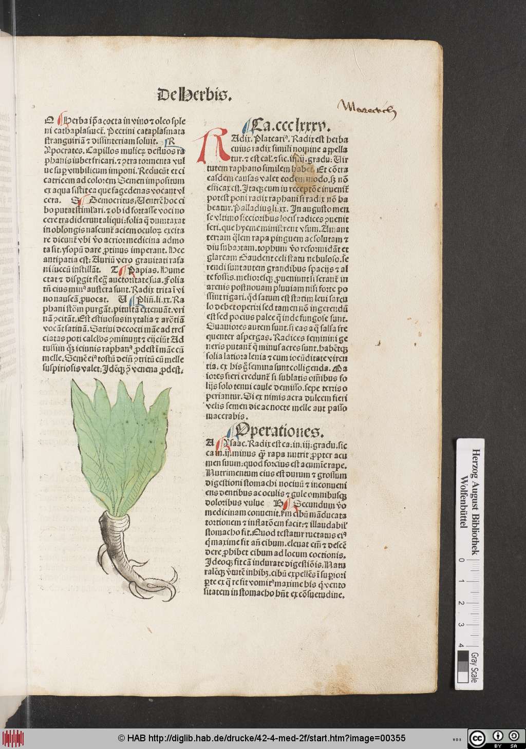 http://diglib.hab.de/drucke/42-4-med-2f/00355.jpg