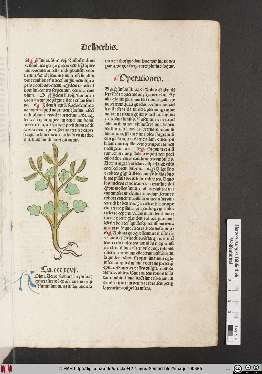 http://diglib.hab.de/drucke/42-4-med-2f/00365.jpg