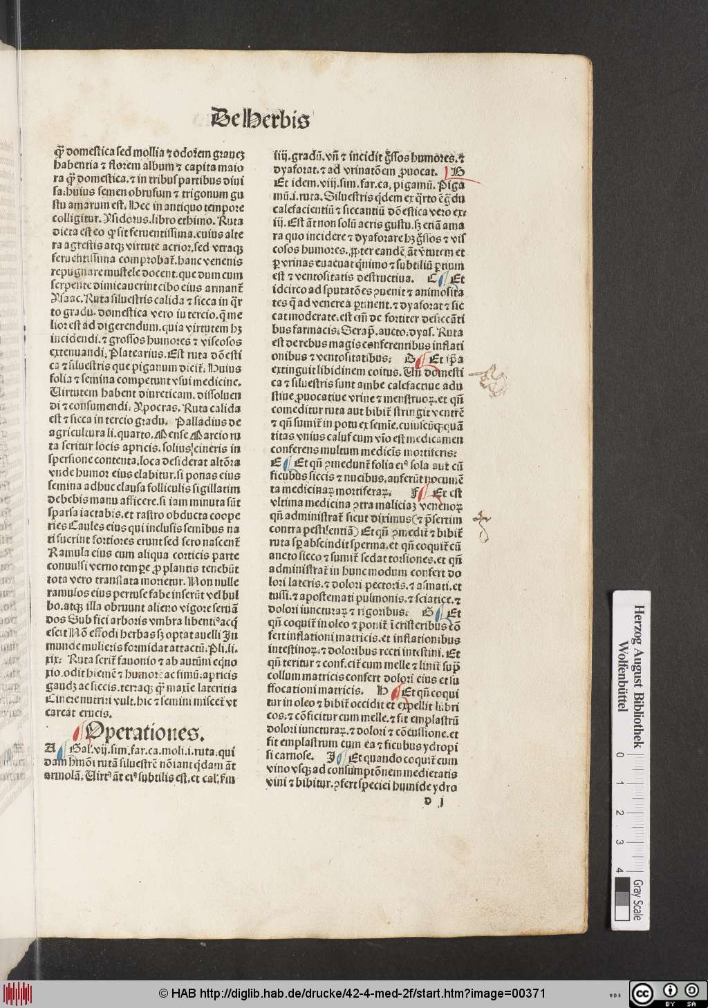 http://diglib.hab.de/drucke/42-4-med-2f/00371.jpg