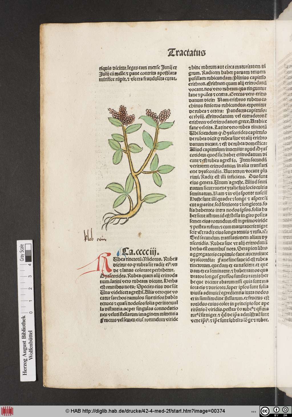 http://diglib.hab.de/drucke/42-4-med-2f/00374.jpg