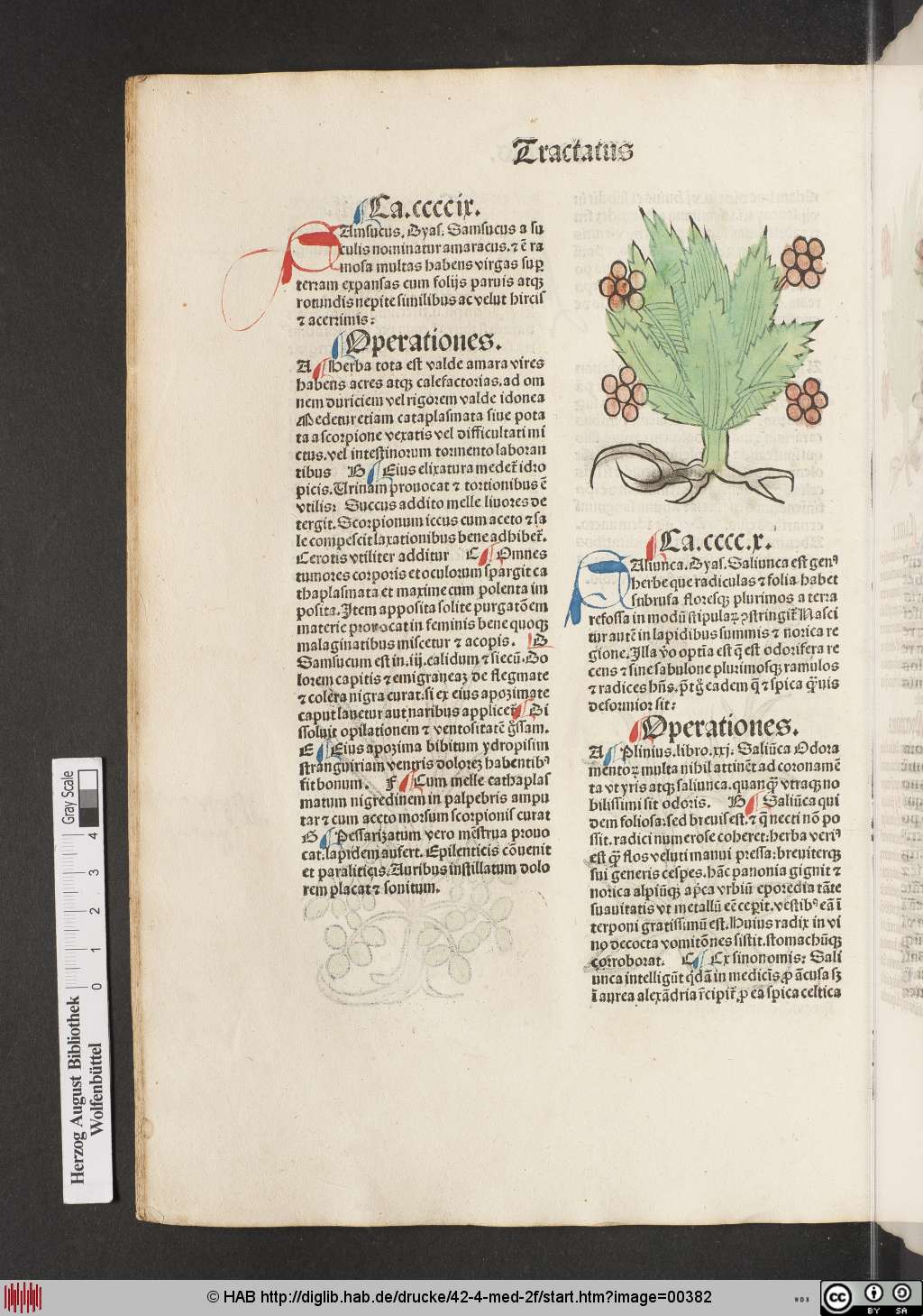 http://diglib.hab.de/drucke/42-4-med-2f/00382.jpg