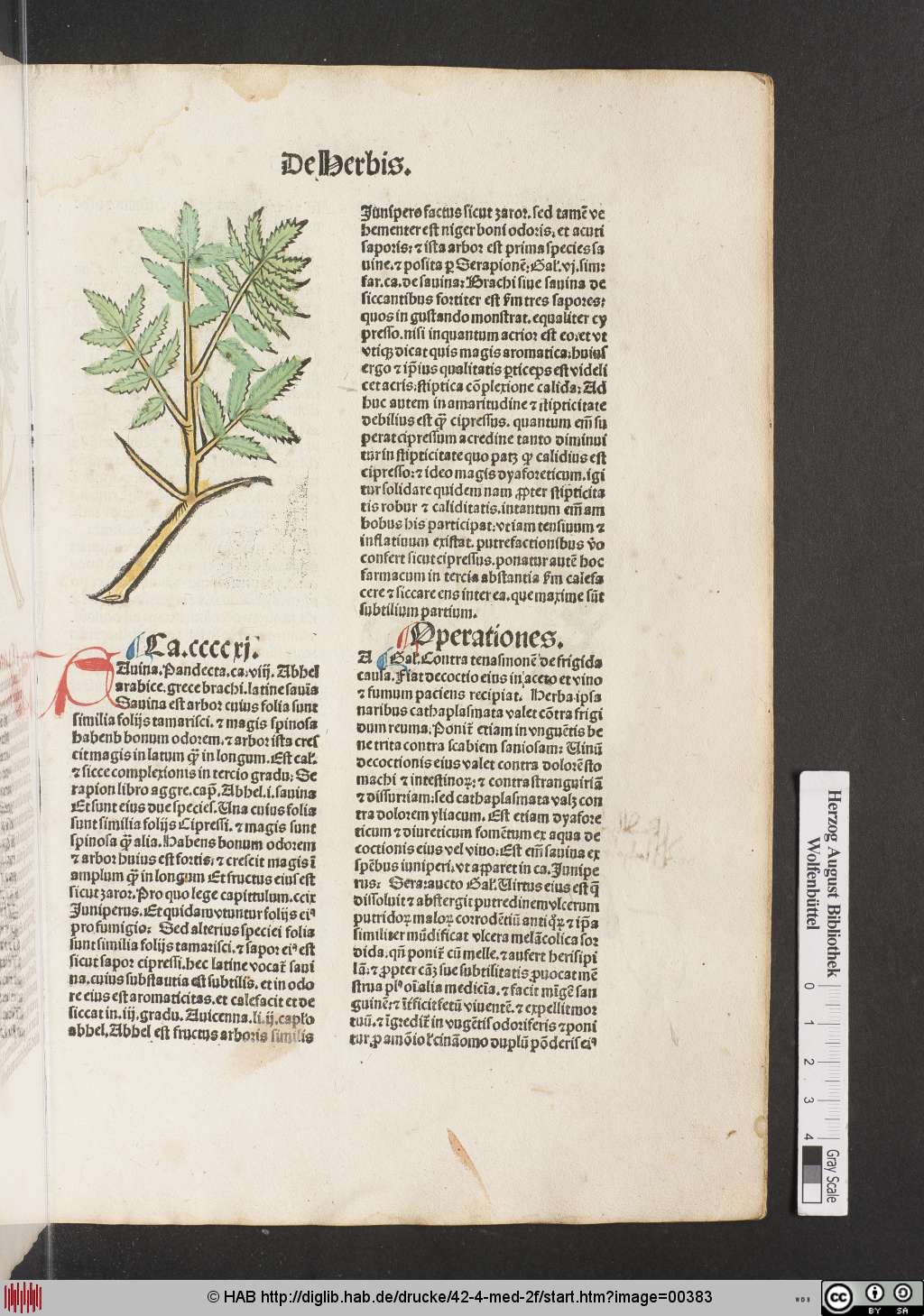 http://diglib.hab.de/drucke/42-4-med-2f/00383.jpg