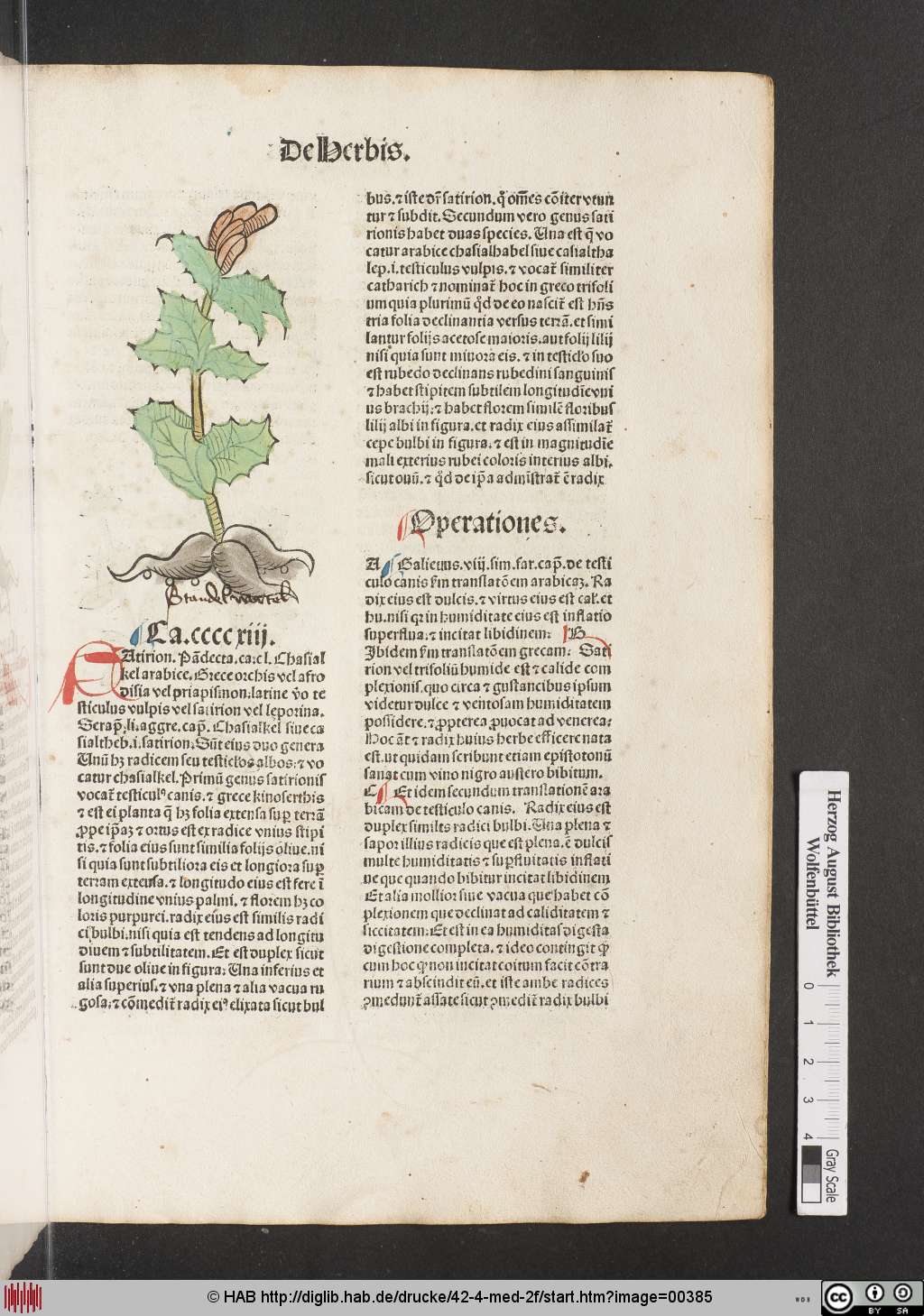 http://diglib.hab.de/drucke/42-4-med-2f/00385.jpg