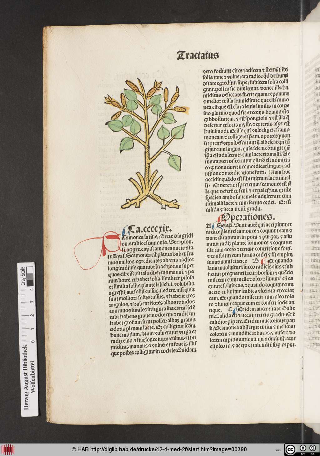 http://diglib.hab.de/drucke/42-4-med-2f/00390.jpg