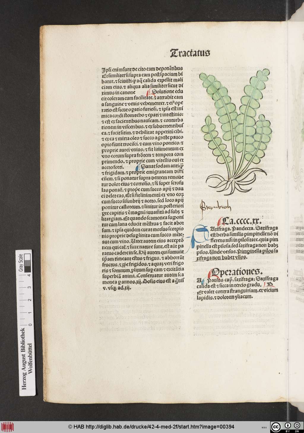 http://diglib.hab.de/drucke/42-4-med-2f/00394.jpg