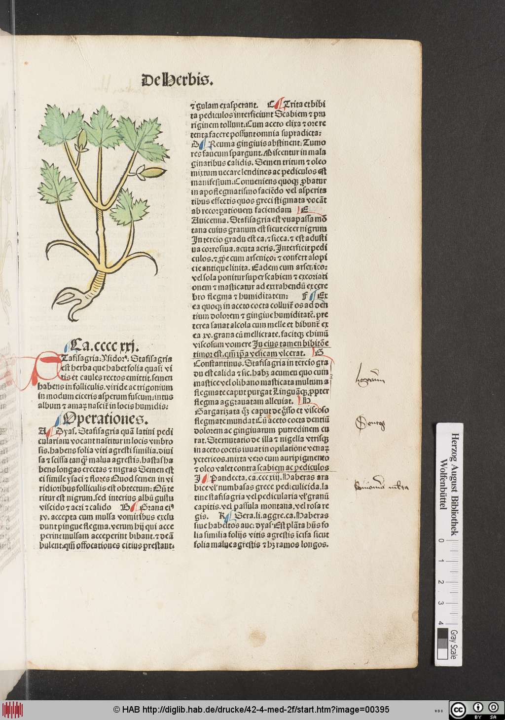 http://diglib.hab.de/drucke/42-4-med-2f/00395.jpg