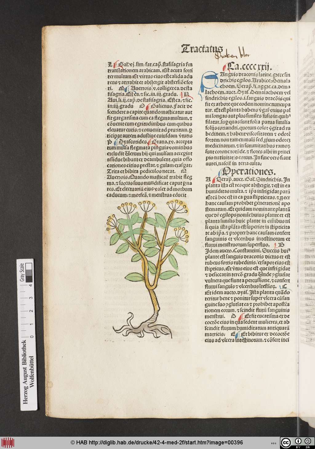 http://diglib.hab.de/drucke/42-4-med-2f/00396.jpg