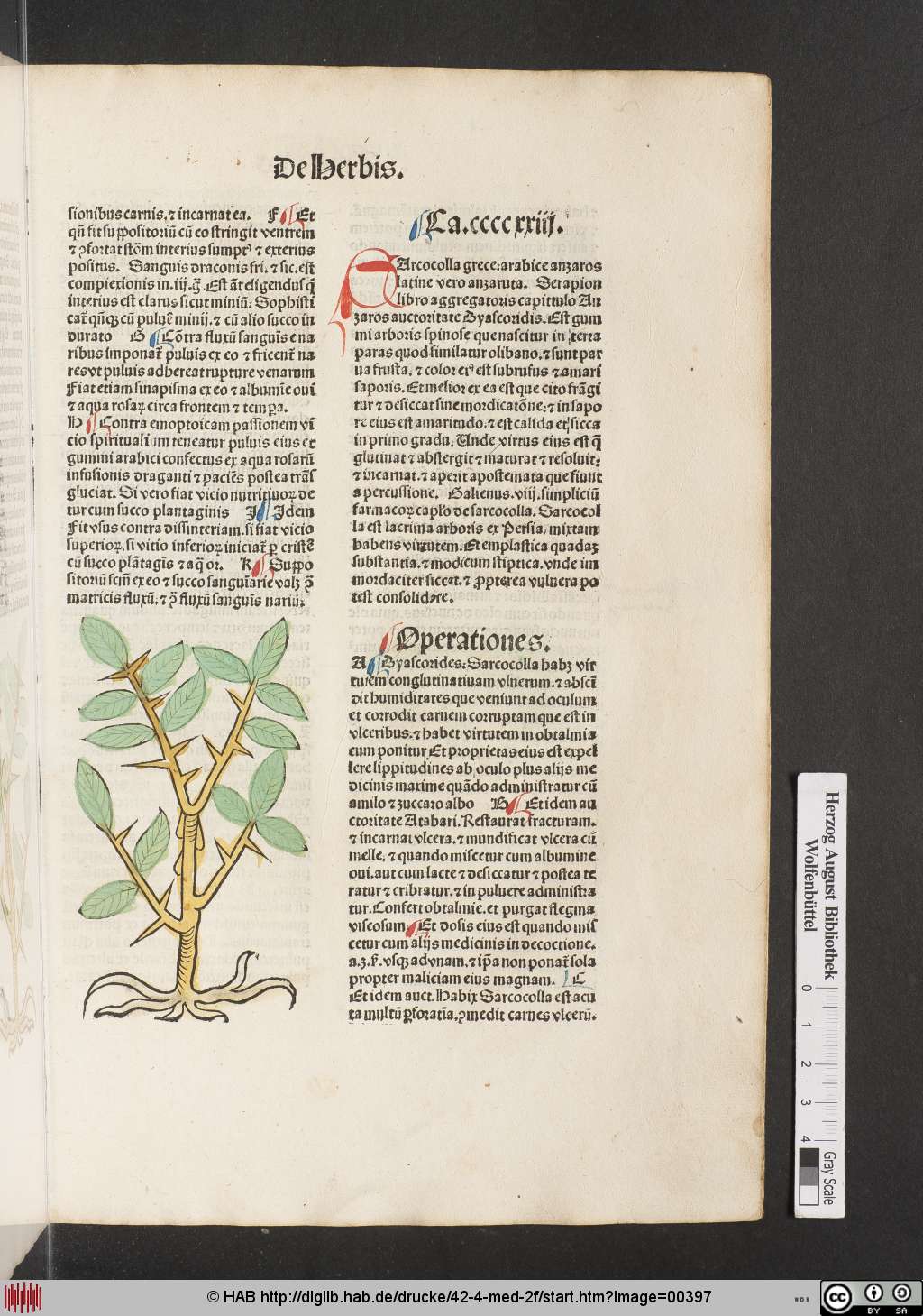 http://diglib.hab.de/drucke/42-4-med-2f/00397.jpg