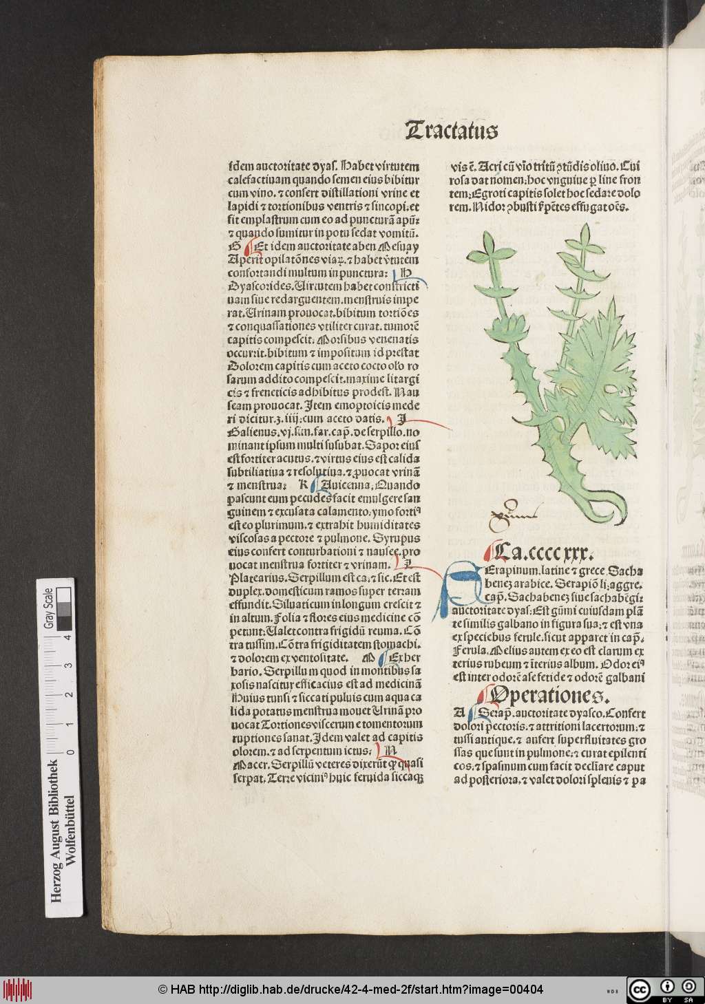 http://diglib.hab.de/drucke/42-4-med-2f/00404.jpg