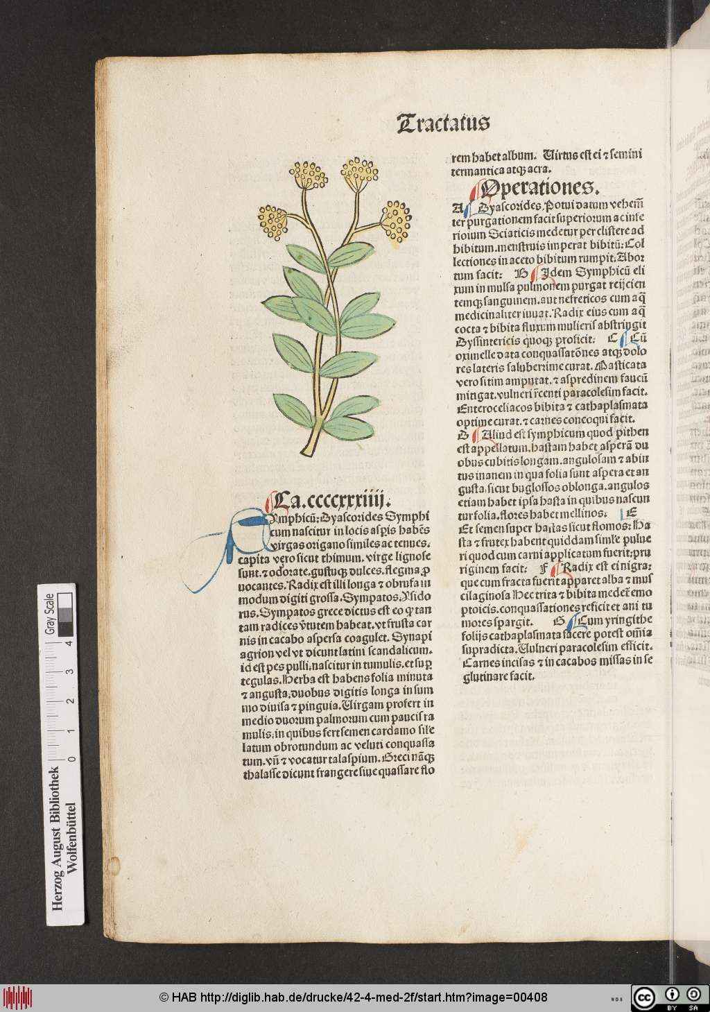 http://diglib.hab.de/drucke/42-4-med-2f/00408.jpg