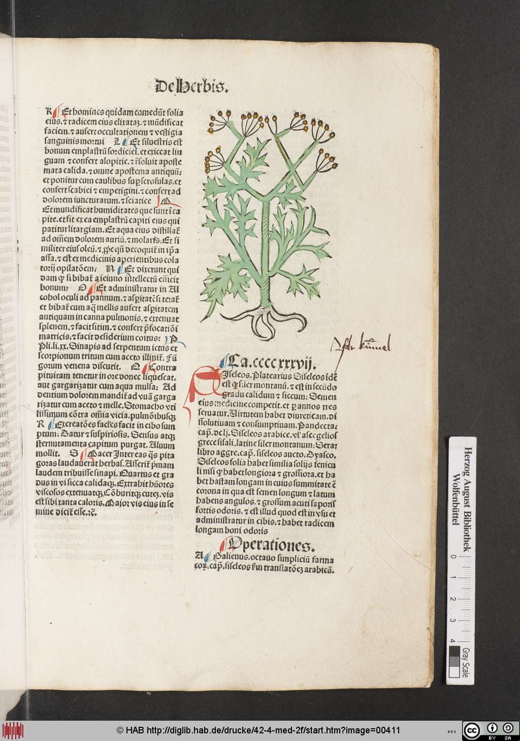 http://diglib.hab.de/drucke/42-4-med-2f/00411.jpg