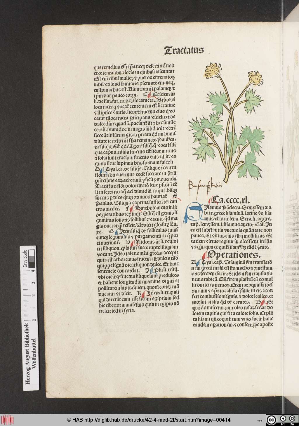 http://diglib.hab.de/drucke/42-4-med-2f/00414.jpg