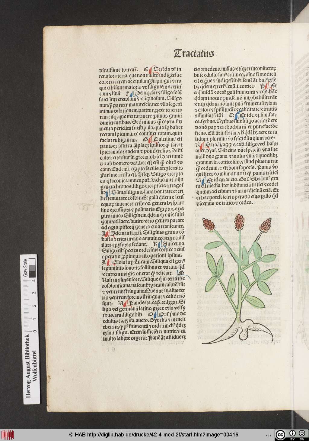 http://diglib.hab.de/drucke/42-4-med-2f/00416.jpg