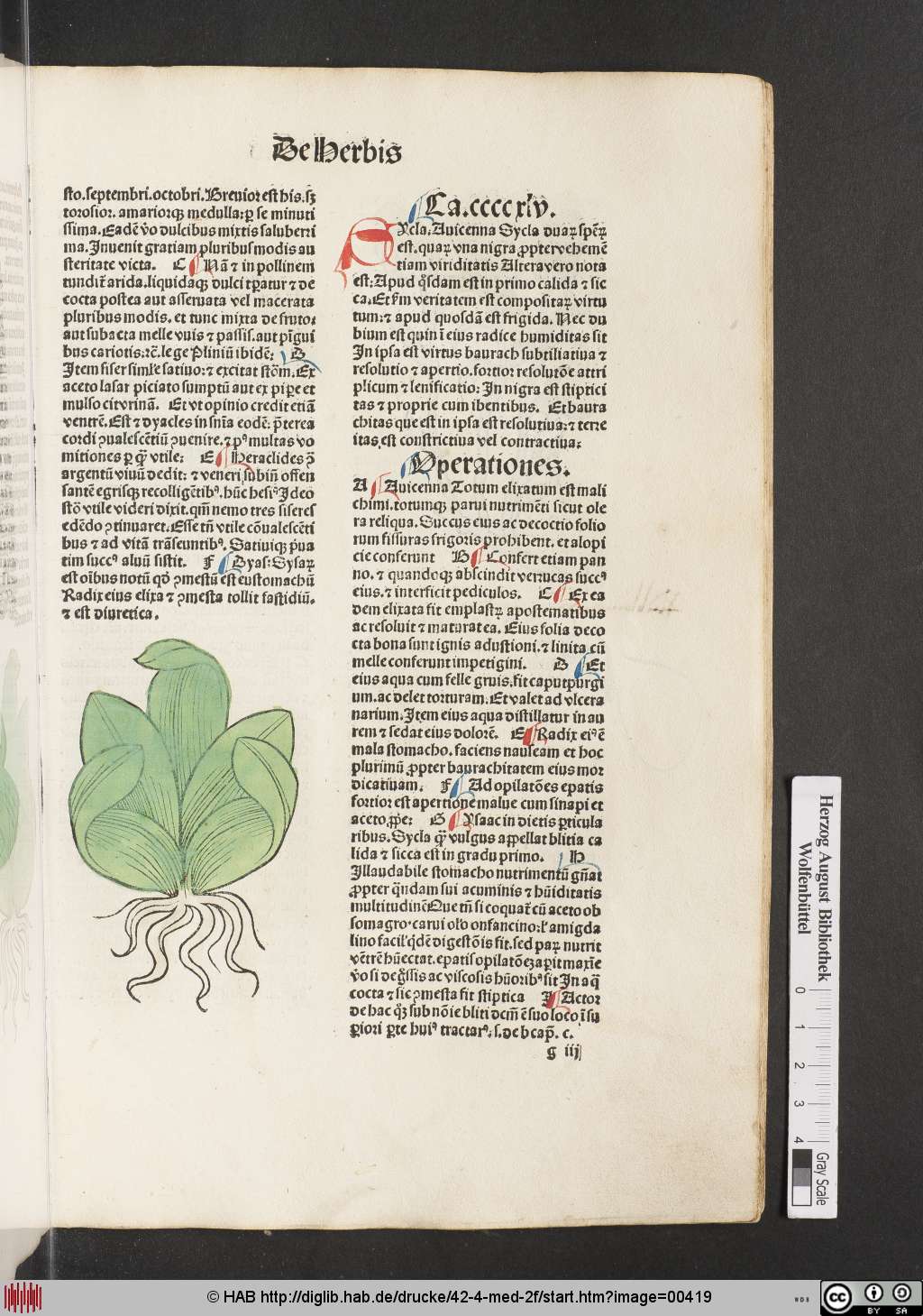 http://diglib.hab.de/drucke/42-4-med-2f/00419.jpg