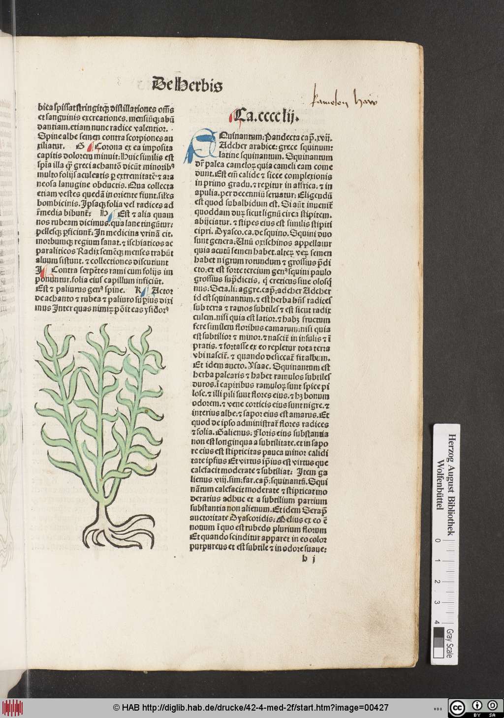 http://diglib.hab.de/drucke/42-4-med-2f/00427.jpg