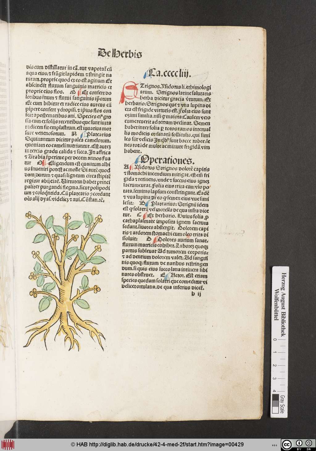 http://diglib.hab.de/drucke/42-4-med-2f/00429.jpg