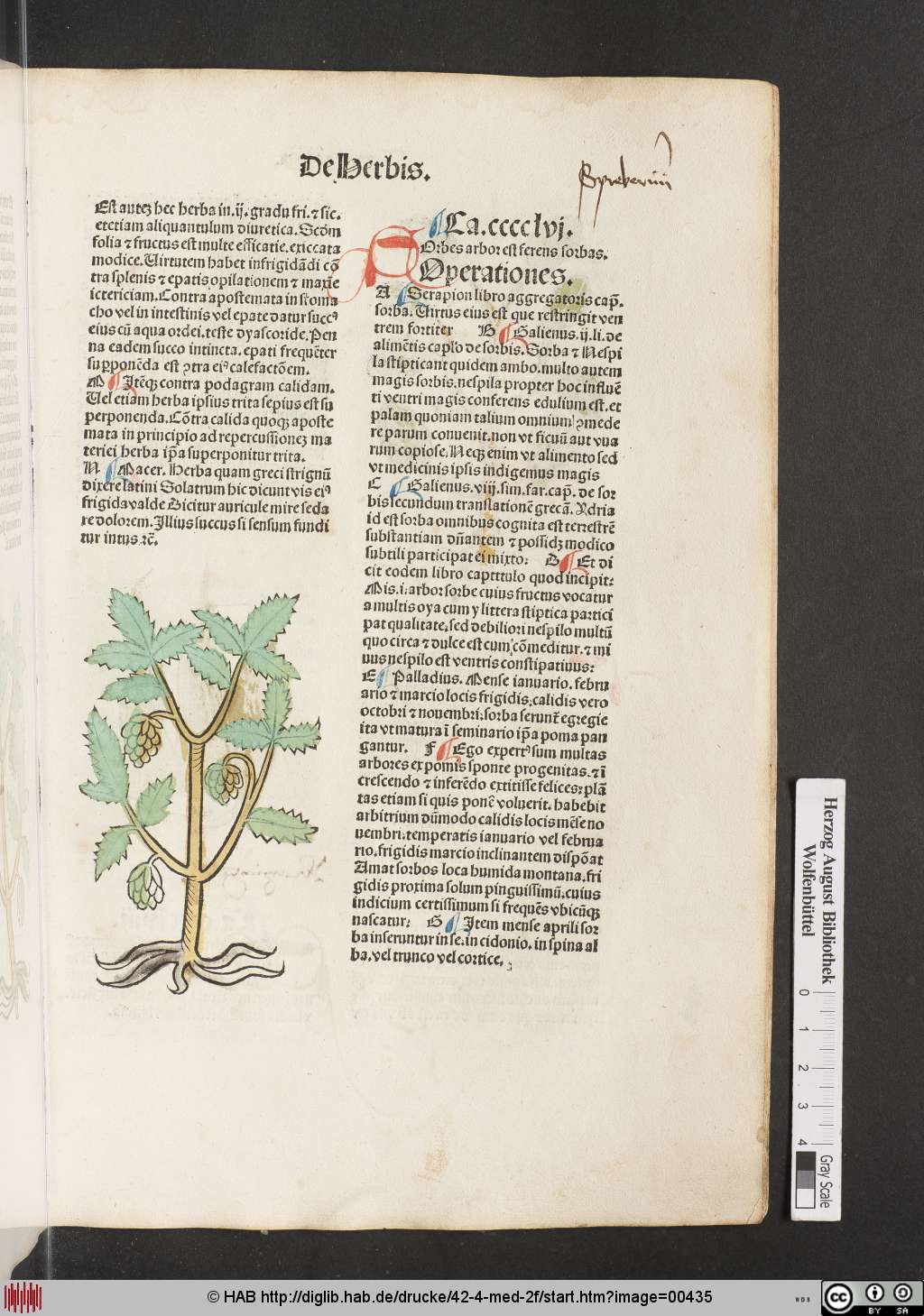 http://diglib.hab.de/drucke/42-4-med-2f/00435.jpg