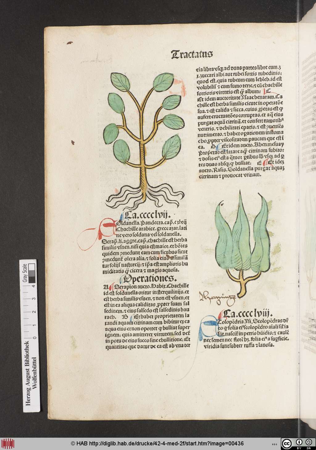 http://diglib.hab.de/drucke/42-4-med-2f/00436.jpg