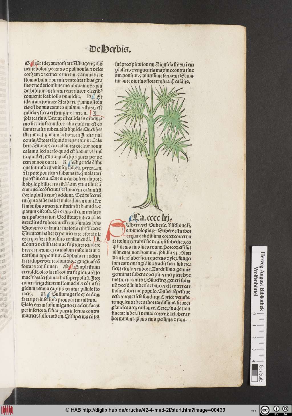 http://diglib.hab.de/drucke/42-4-med-2f/00439.jpg