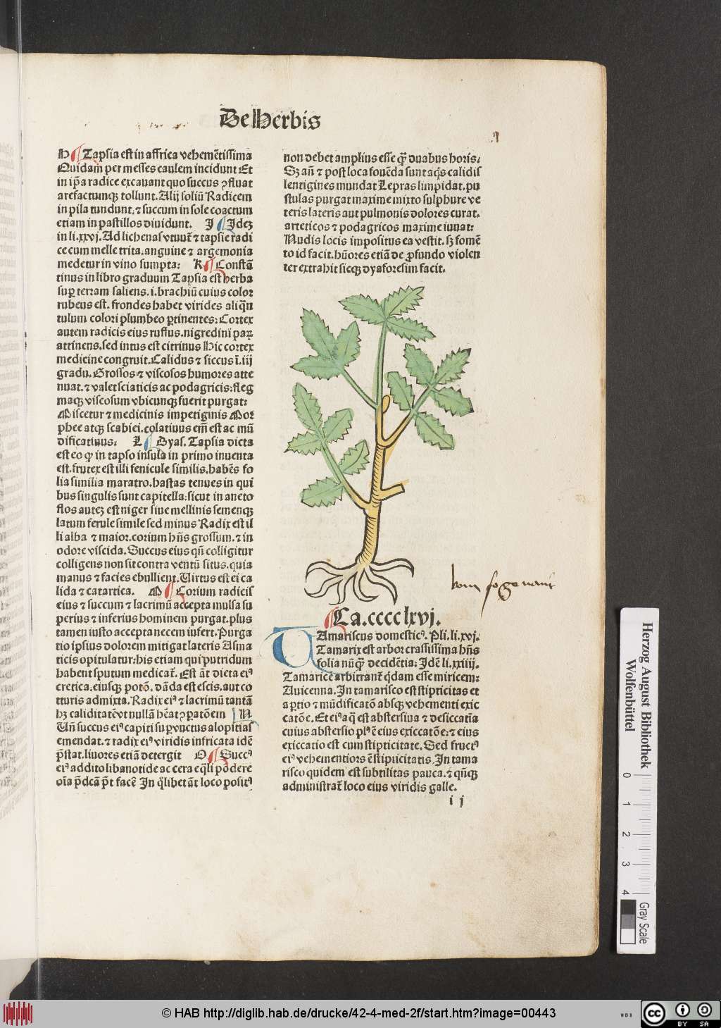 http://diglib.hab.de/drucke/42-4-med-2f/00443.jpg