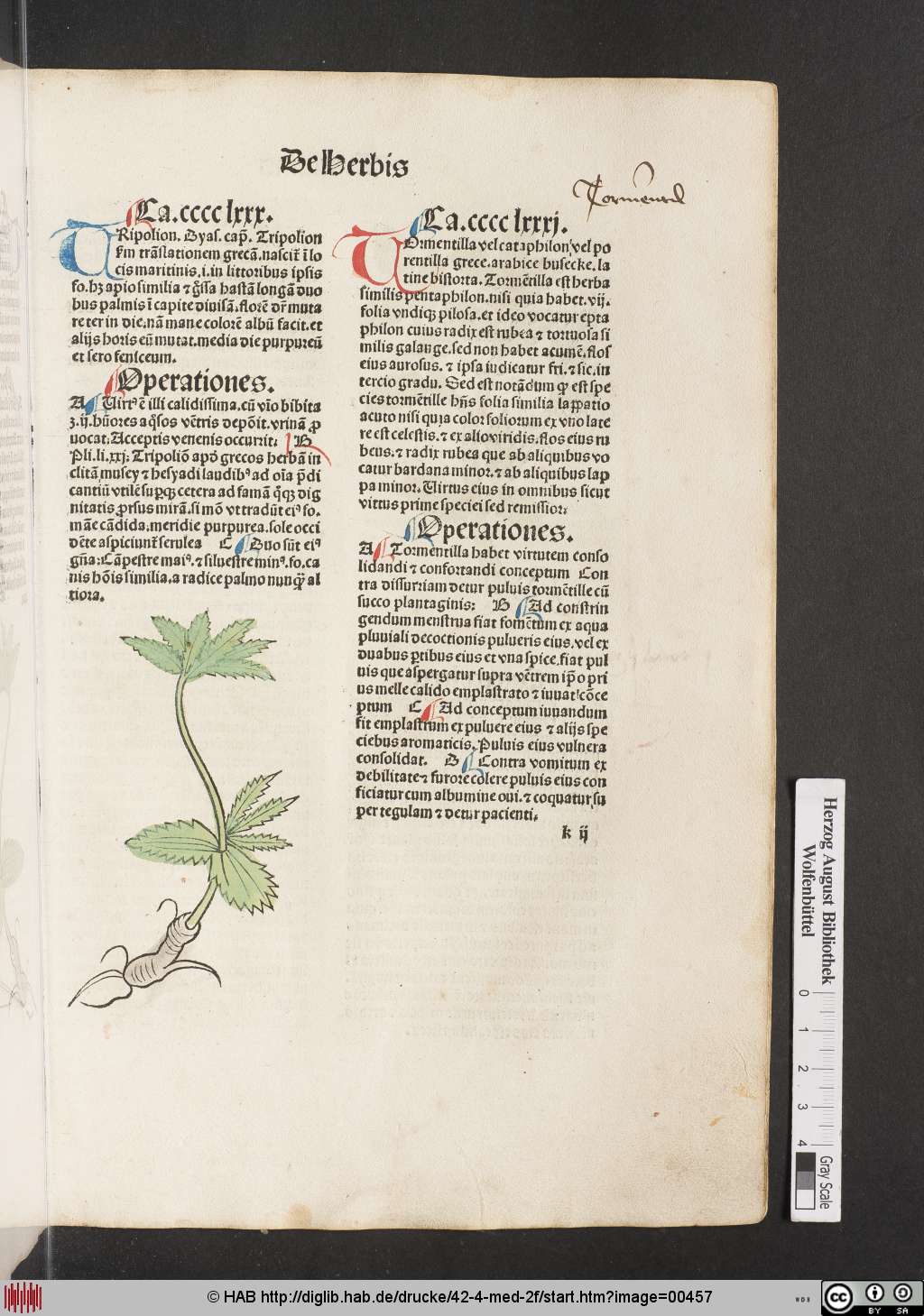 http://diglib.hab.de/drucke/42-4-med-2f/00457.jpg