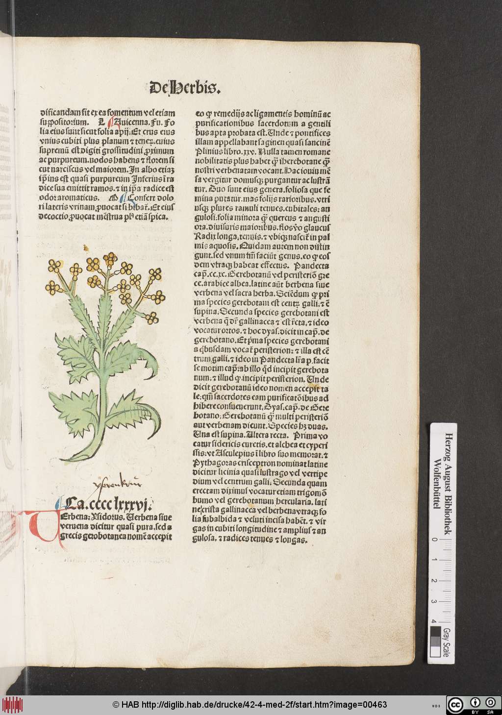 http://diglib.hab.de/drucke/42-4-med-2f/00463.jpg